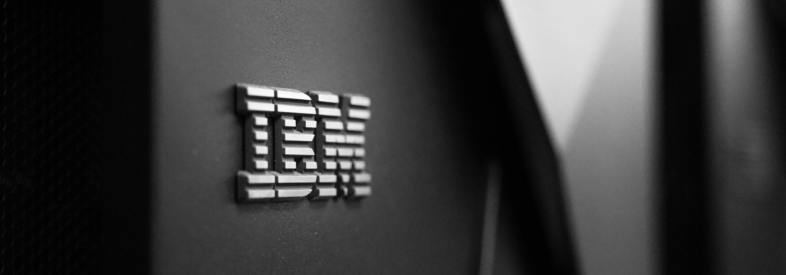 The IBM WebSphere Vision